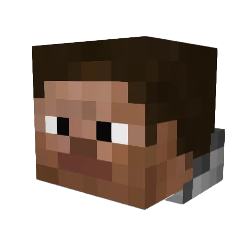 xenus2013 Minecraft avatar head, 3D render
