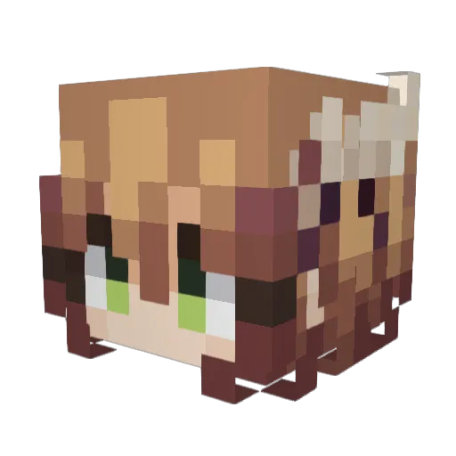 xeo479 Minecraft avatar head, 3D render