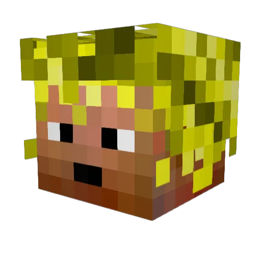 xer633 Minecraft avatar head, 3D render