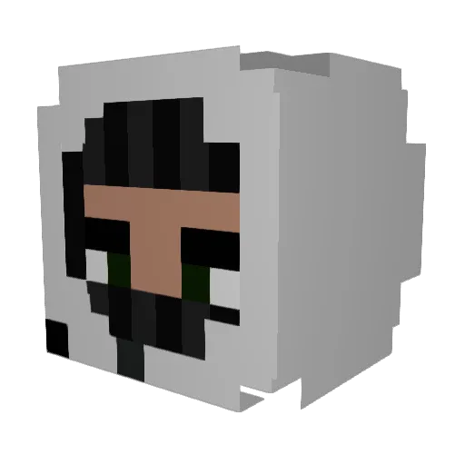 xerezz_ Minecraft avatar head, 3D render