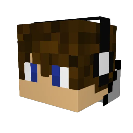 xerotoo Minecraft avatar head, 3D render