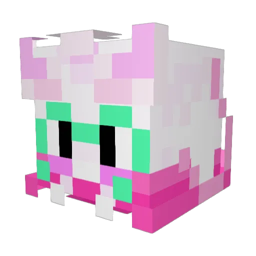 xerpnt Minecraft avatar head, 3D render