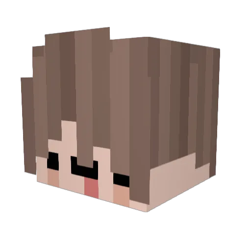 xetrofy Minecraft avatar head, 3D render
