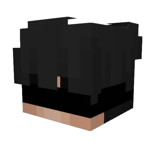 xetun Minecraft avatar head, 3D render