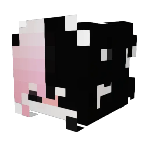 xexvtr51 Minecraft avatar head, 3D render