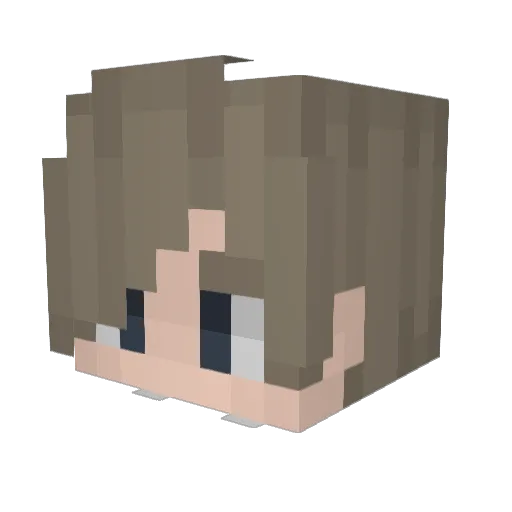 xf5x2 Minecraft avatar head, 3D render