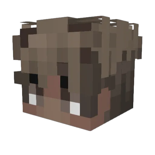 xfOw Minecraft avatar head, 3D render