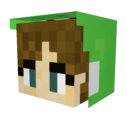 xfangsx Minecraft avatar head, 3D render