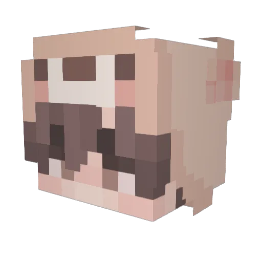 xfaunusx Minecraft avatar head, 3D render