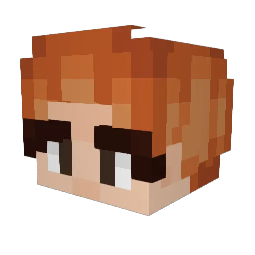 xfelements Minecraft avatar head, 3D render
