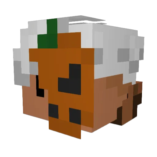 xfezuuu Minecraft avatar head, 3D render