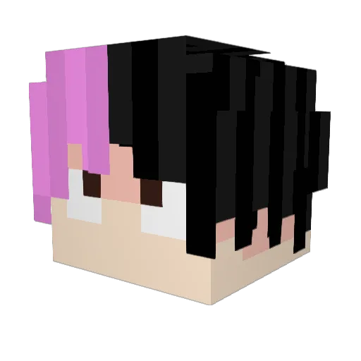 xflwz40 Minecraft avatar head, 3D render