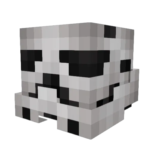 xfuzzyassassinx Minecraft avatar head, 3D render