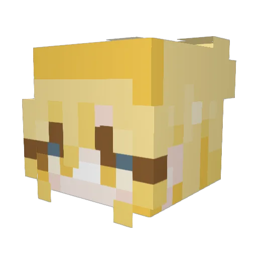 xfw Minecraft avatar head, 3D render