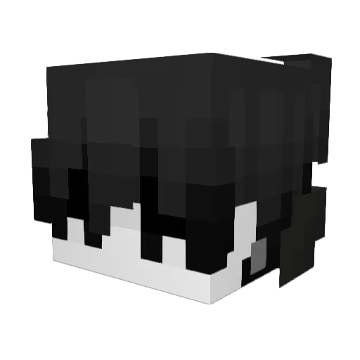 xg12121 Minecraft avatar head, 3D render