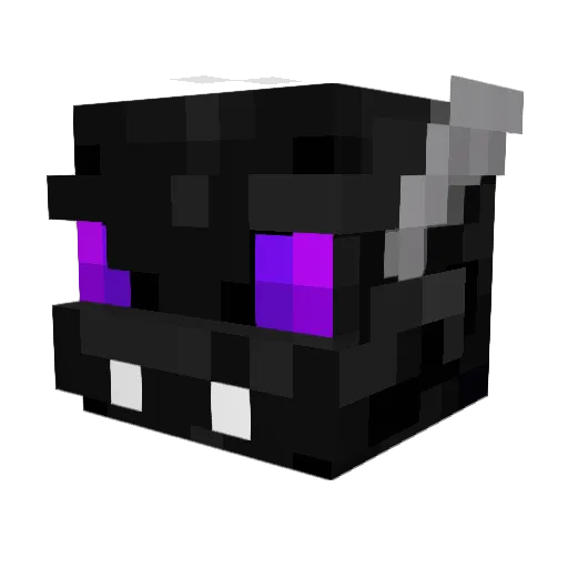 xgamer2424 Minecraft avatar head, 3D render