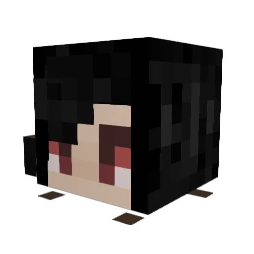 xgenderleftbeef Minecraft avatar head, 3D render