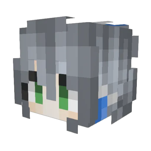 xgwsgdhs Minecraft avatar head, 3D render