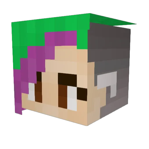 xhikr1 Minecraft avatar head, 3D render