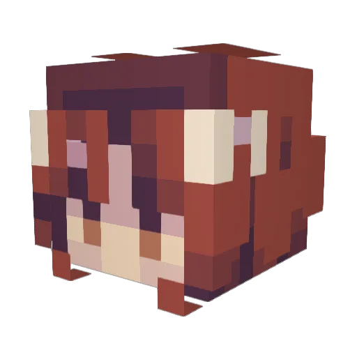 xhmeow Minecraft avatar head, 3D render