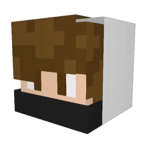 xhsc_ Minecraft avatar head, 3D render