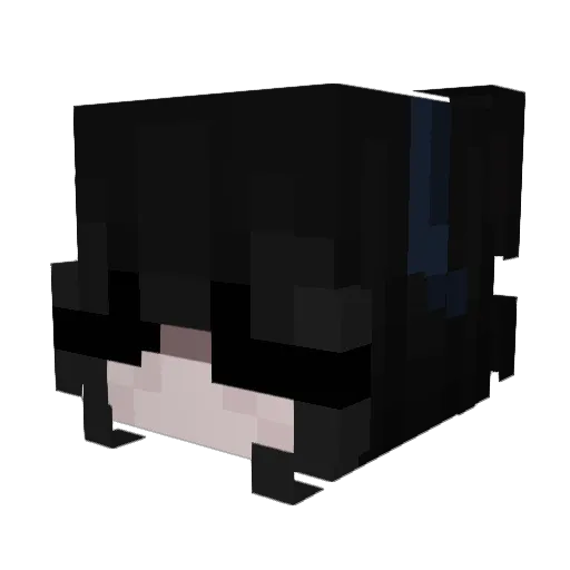 xhsdkw Minecraft avatar head, 3D render