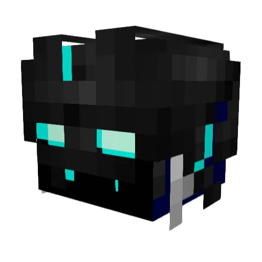 xhunterx2007 Minecraft avatar head, 3D render