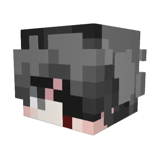 xiDayzer Minecraft avatar head, 3D render