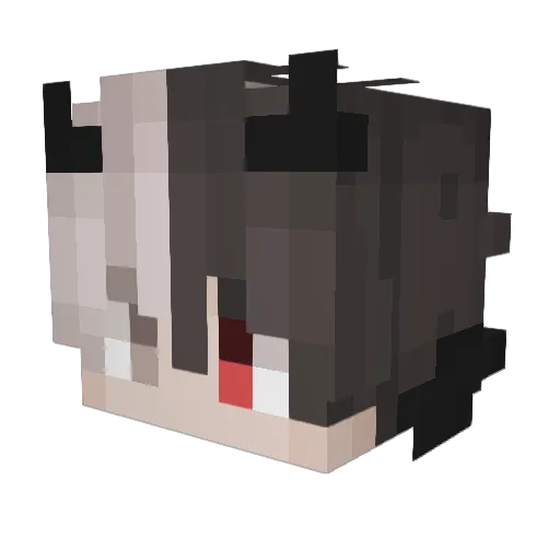 xiFezix Minecraft avatar head, 3D render