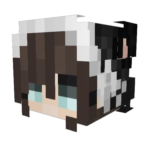 xiachuan1 Minecraft avatar head, 3D render