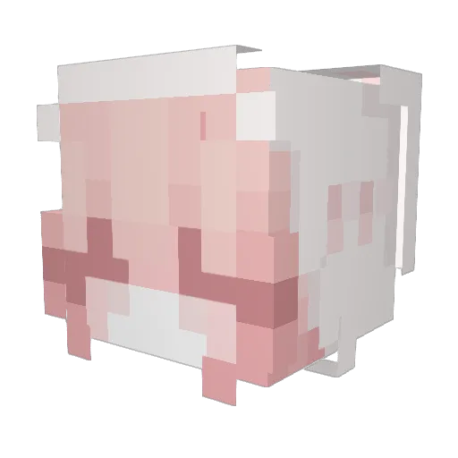 xianqi2007 Minecraft avatar head, 3D render
