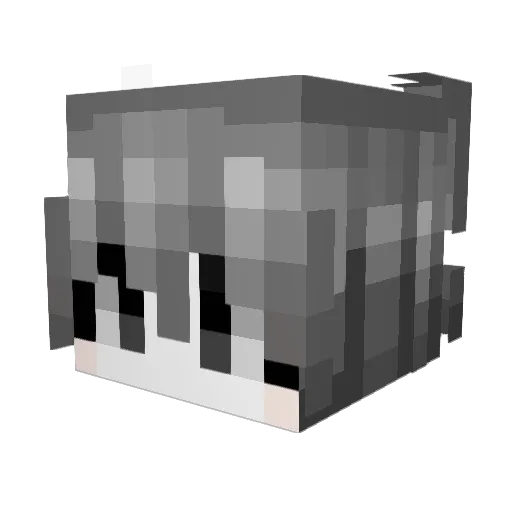 xiao6bu6 Minecraft avatar head, 3D render
