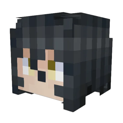 xiaoT1103 Minecraft avatar head, 3D render