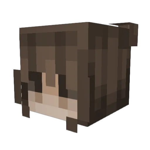 xiao_100 Minecraft avatar head, 3D render