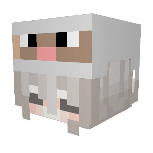 xiao_yangy Minecraft avatar head, 3D render