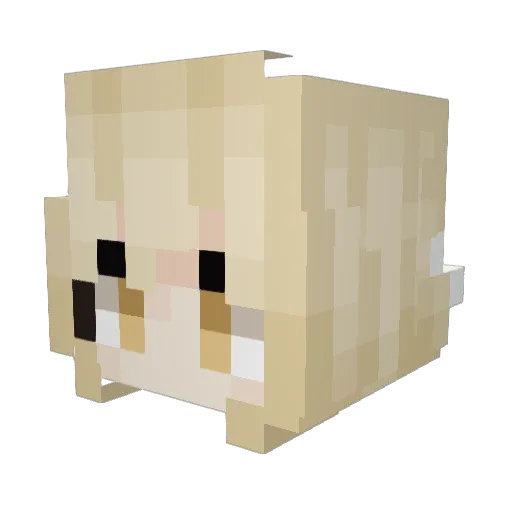 xiaoba_6662 Minecraft avatar head, 3D render