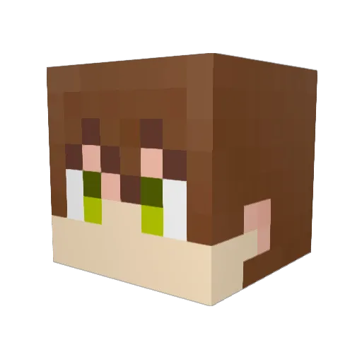 xiaobeixaiobei5 Minecraft avatar head, 3D render