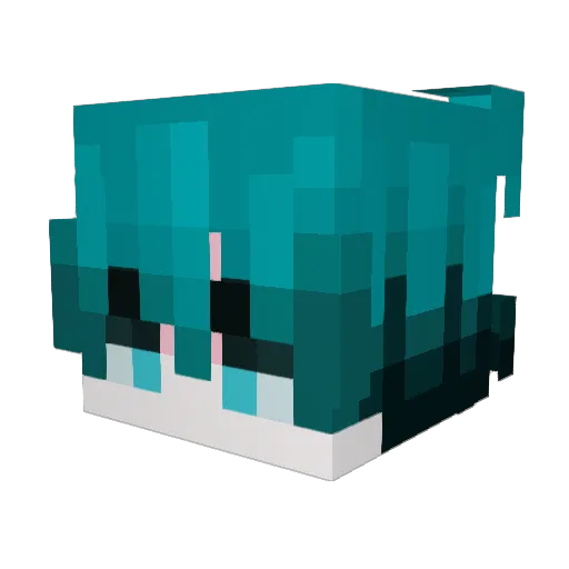 xiaodou233333 Minecraft avatar head, 3D render