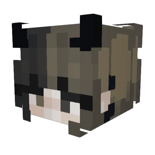 xiaojia19 Minecraft avatar head, 3D render