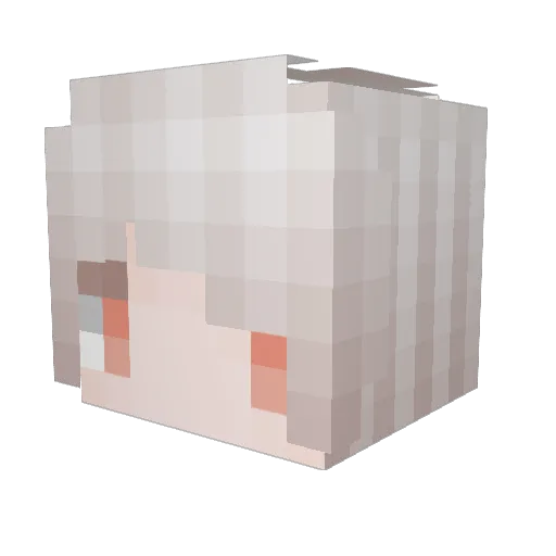 xiaojuanmao Minecraft avatar head, 3D render