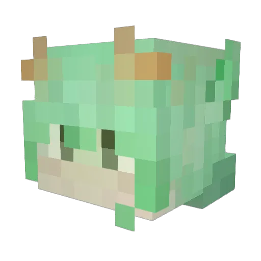 xiaojunyo Minecraft avatar head, 3D render