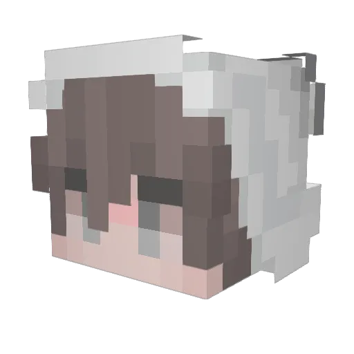 xiaok2004 Minecraft avatar head, 3D render