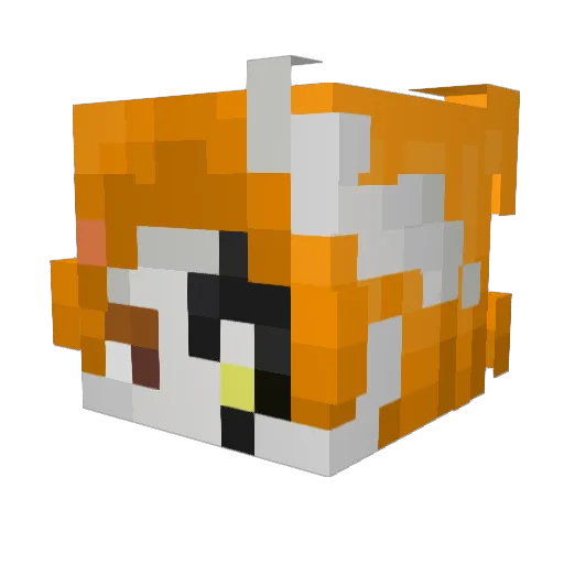 xiaokang52024 Minecraft avatar head, 3D render