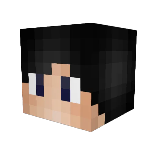xiaolan550 Minecraft avatar head, 3D render