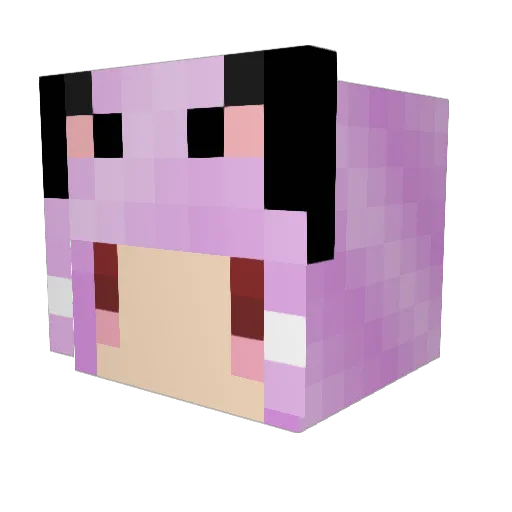 xiaomi1202 Minecraft avatar head, 3D render