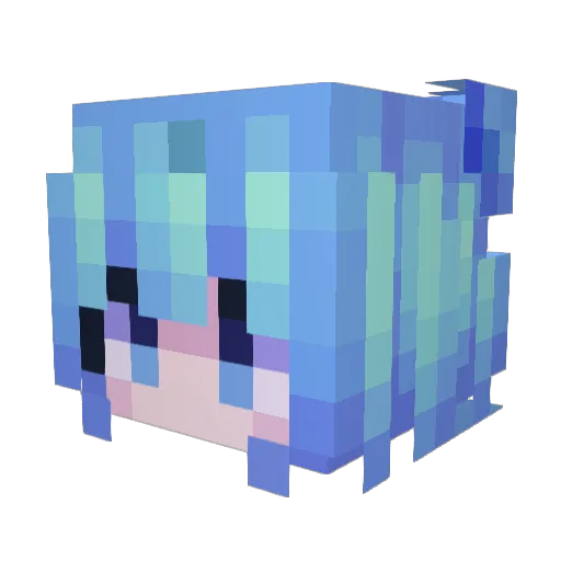xiaoniao6924 Minecraft avatar head, 3D render