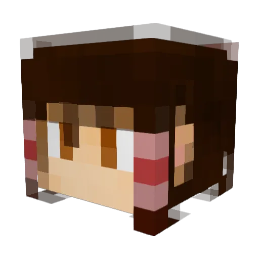 xiaopoa Minecraft avatar head, 3D render