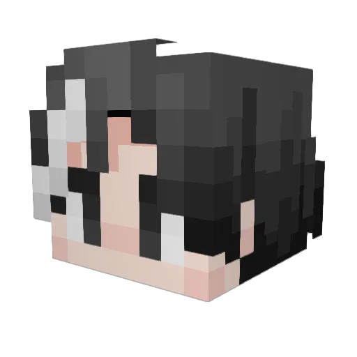 xiaoquanjun Minecraft avatar head, 3D render