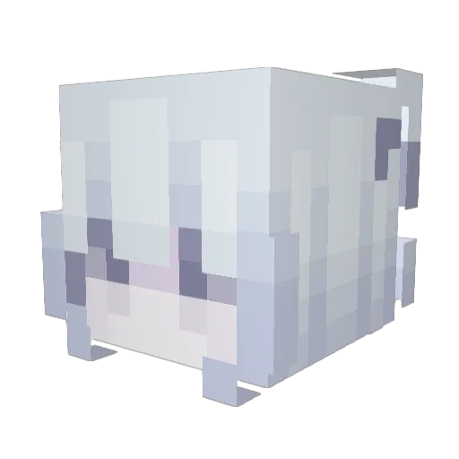 xiaoran_ Minecraft avatar head, 3D render