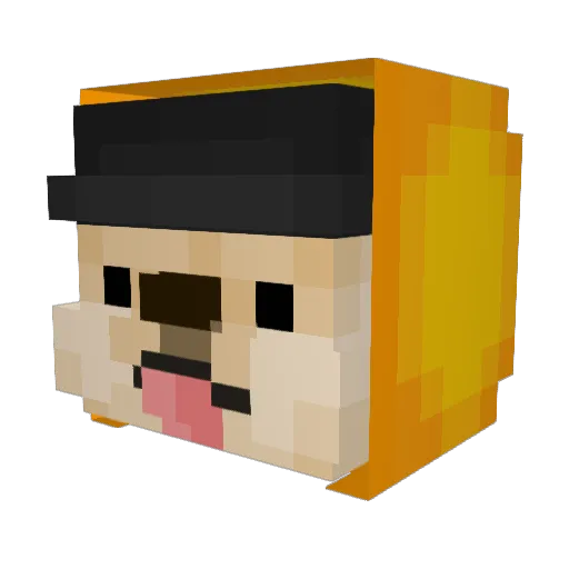 xiaoren00 Minecraft avatar head, 3D render